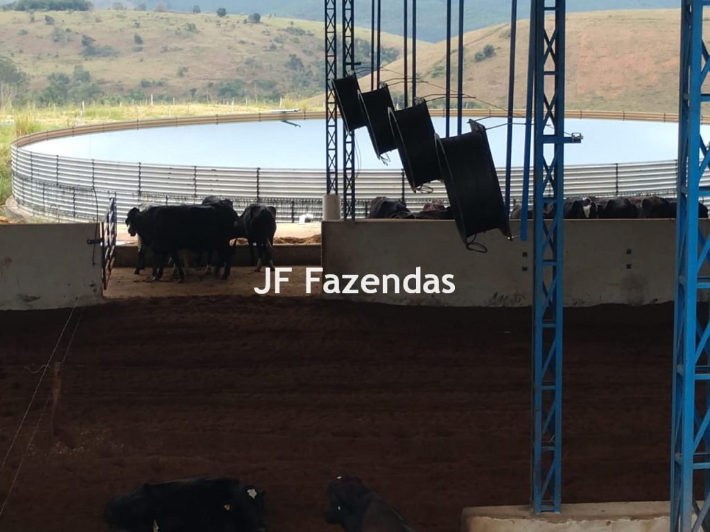 Fazenda em São João Nepomuceno – 266 Hectares