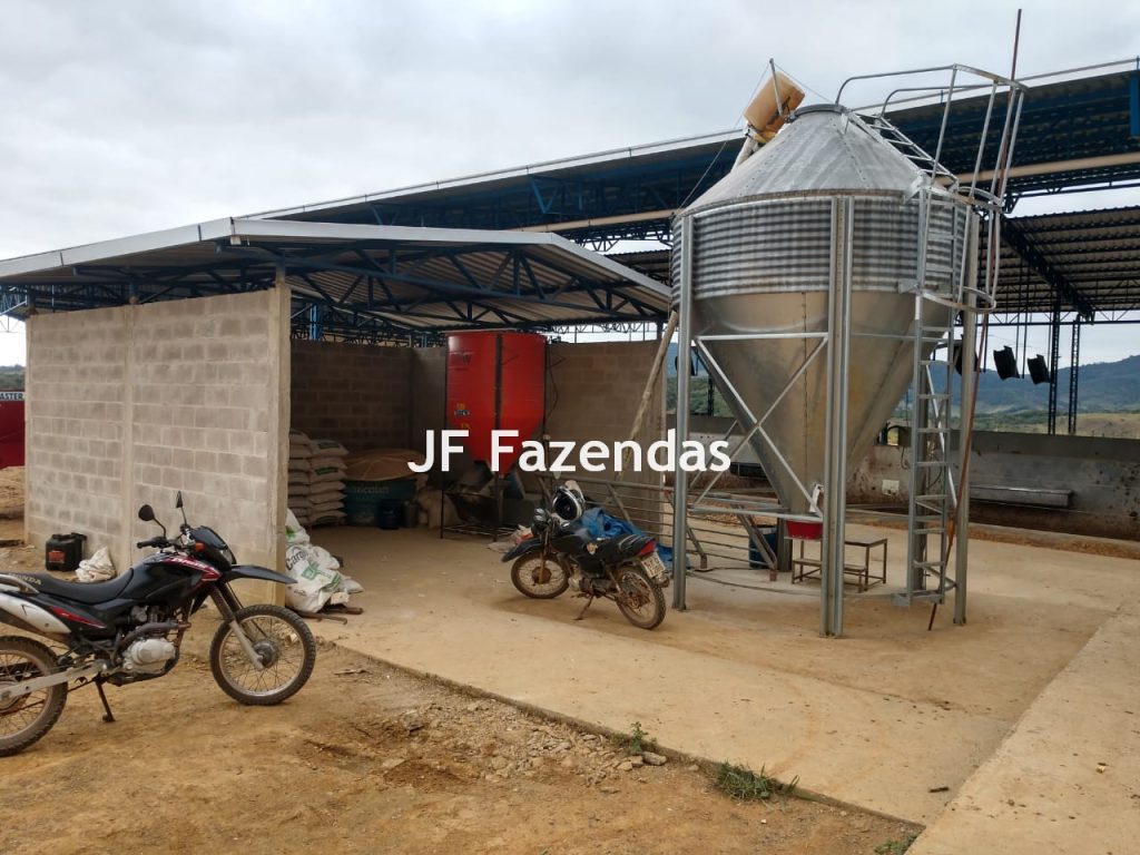 Fazenda em São João Nepomuceno – 266 Hectares