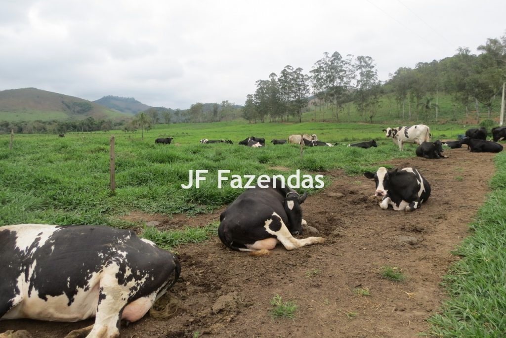 Sitio em Pedro Teixeira – MG – 69,71 hectares