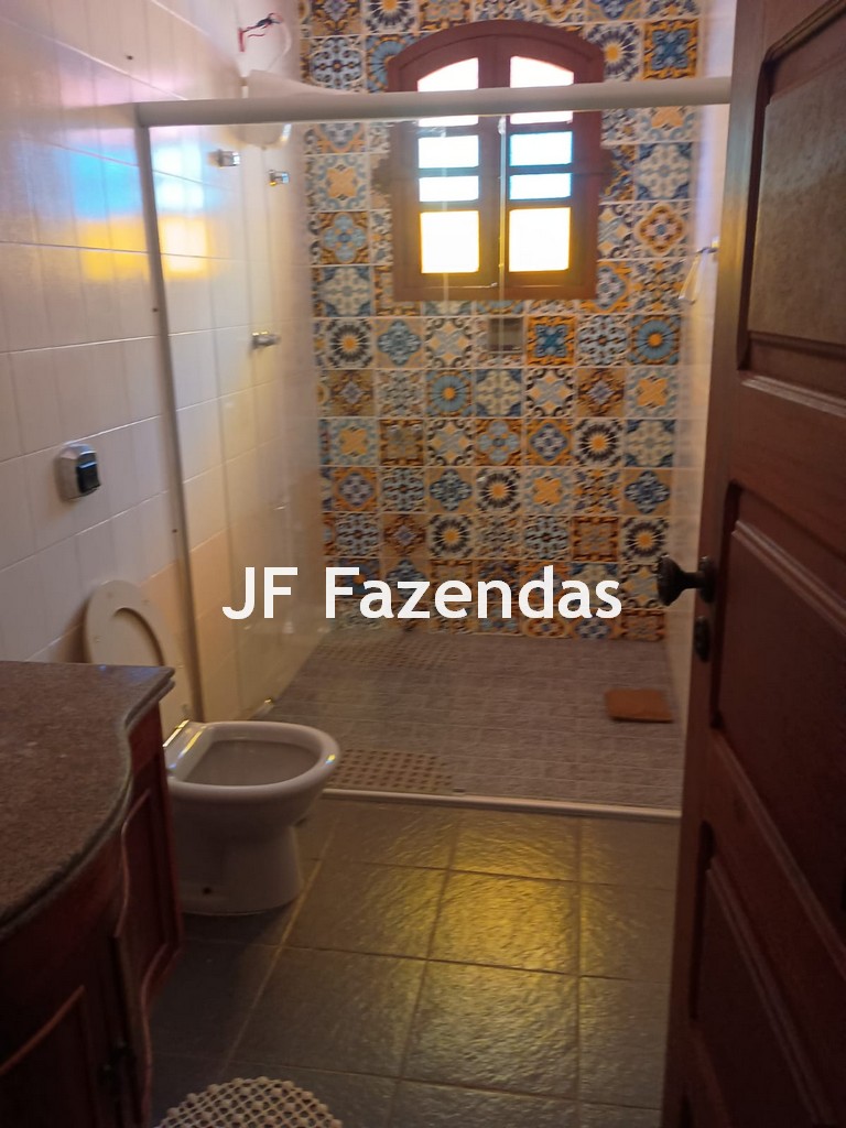 Fazenda em São João Nepomuceno – 266 Hectares