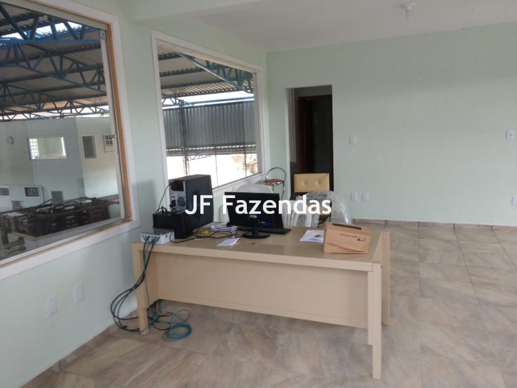 Fazenda em São João Nepomuceno – 266 Hectares