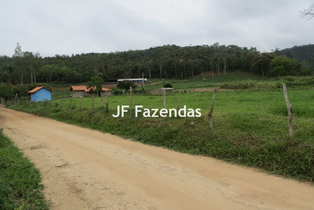 Sitio em Pedro Teixeira – MG – 69,71 hectares