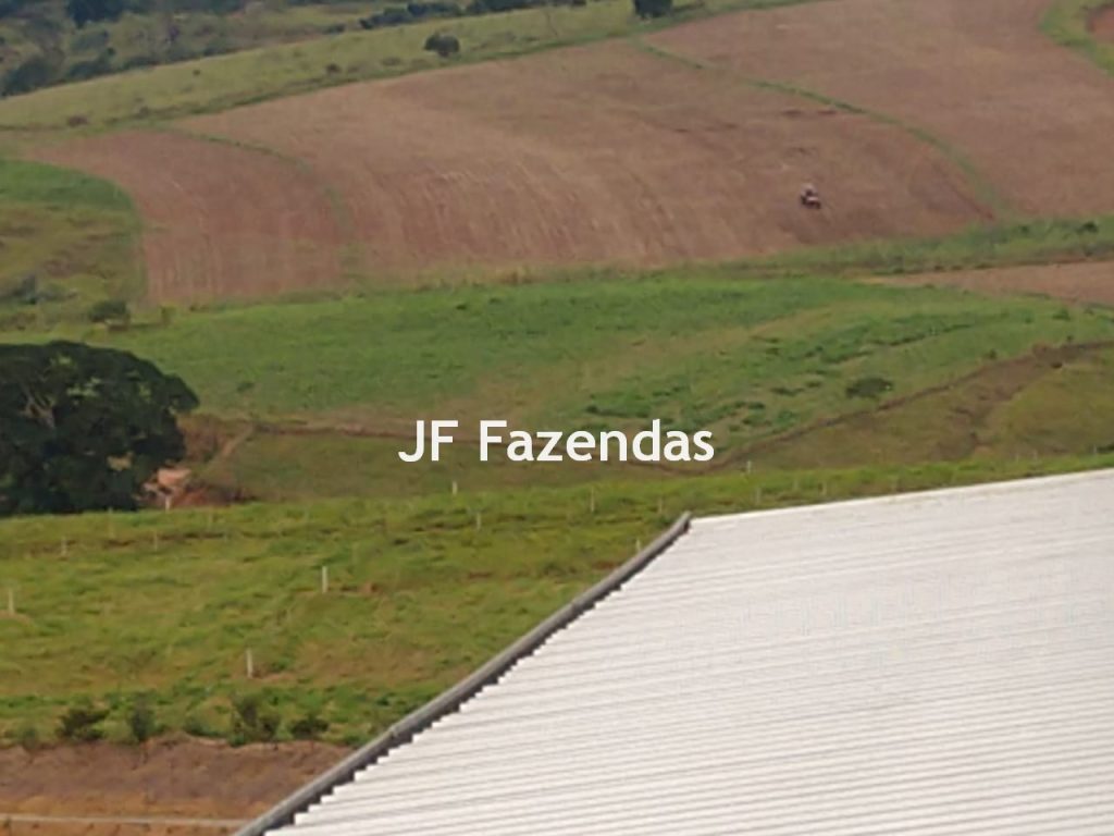Fazenda em São João Nepomuceno – 266 Hectares