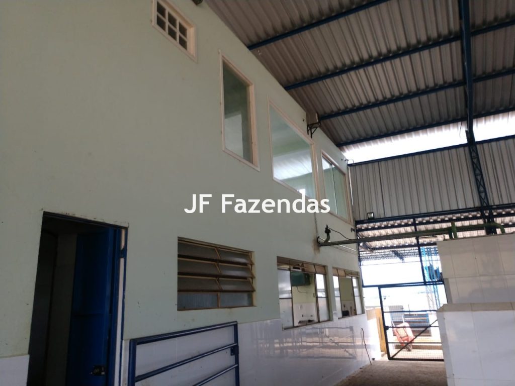 Fazenda em São João Nepomuceno – 266 Hectares