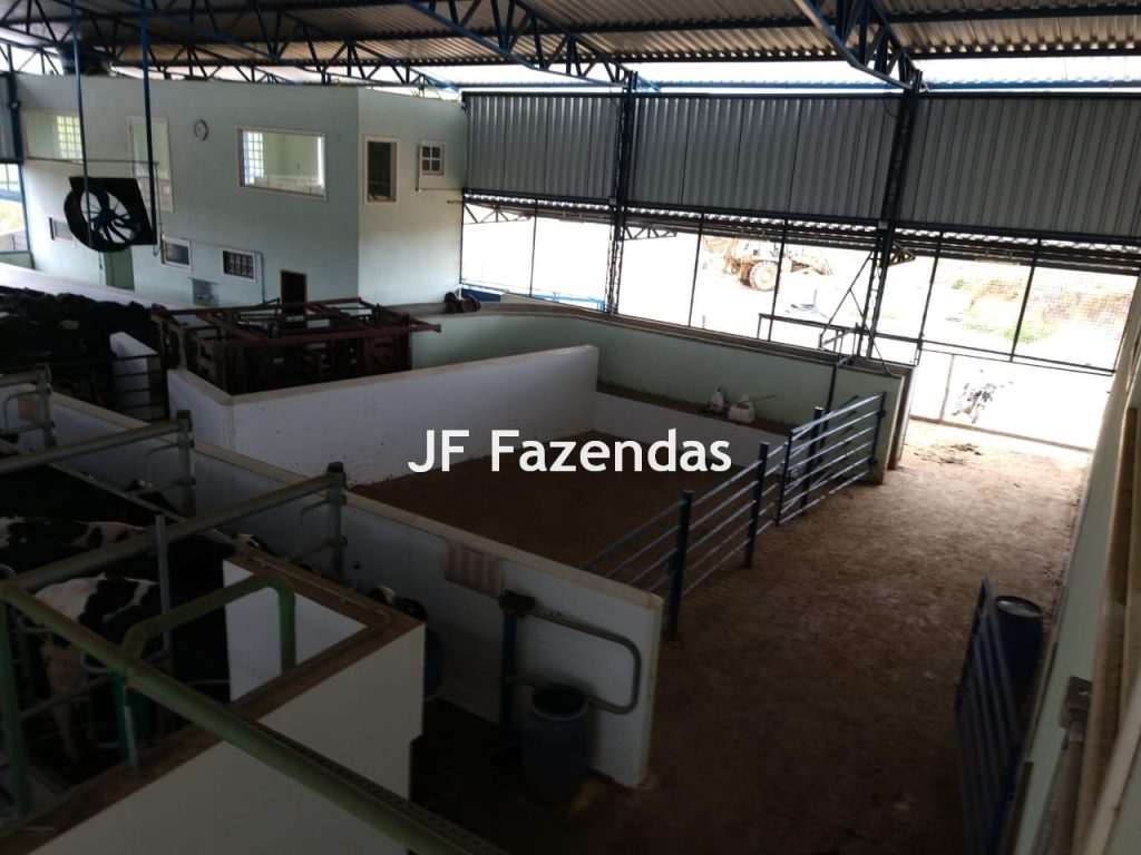 Fazenda em São João Nepomuceno – 266 Hectares