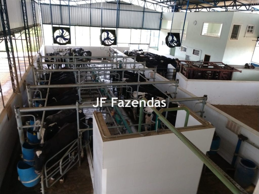 Fazenda em São João Nepomuceno – 266 Hectares