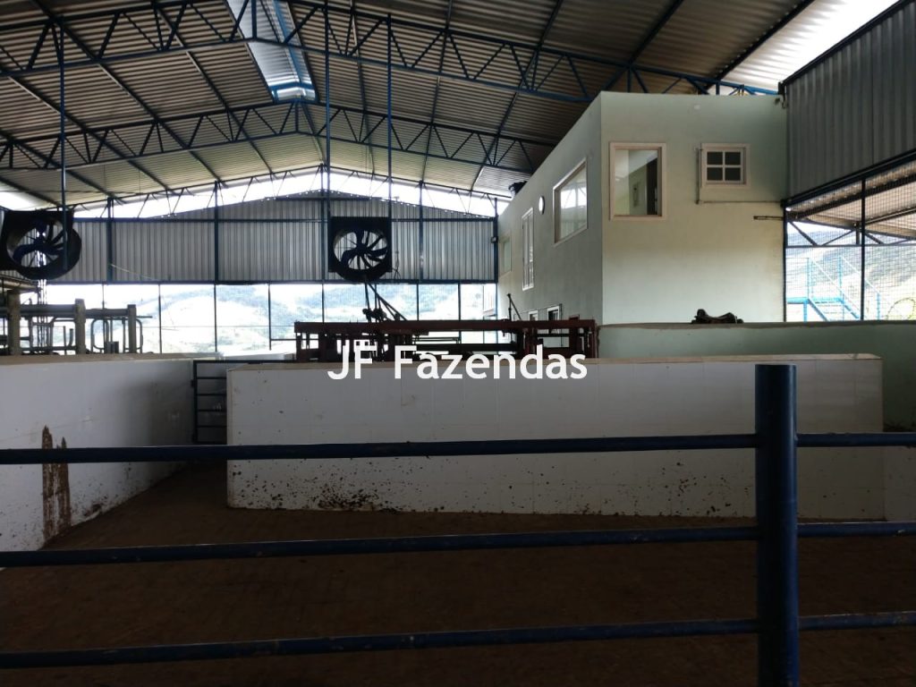 Fazenda em São João Nepomuceno – 266 Hectares