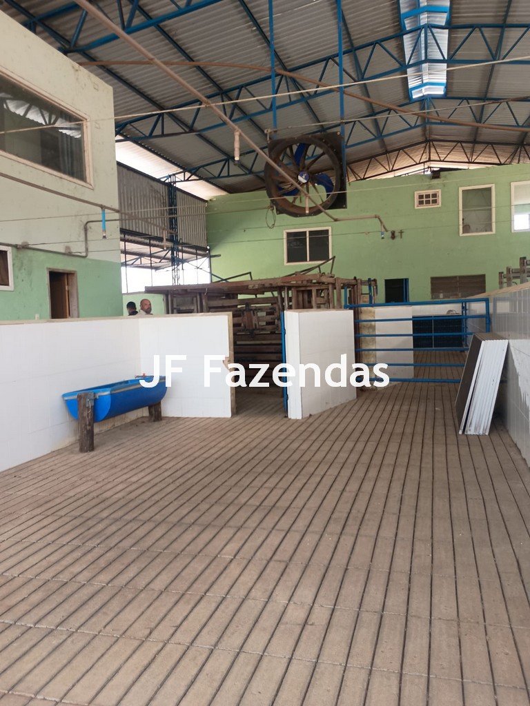 Fazenda em São João Nepomuceno – 266 Hectares