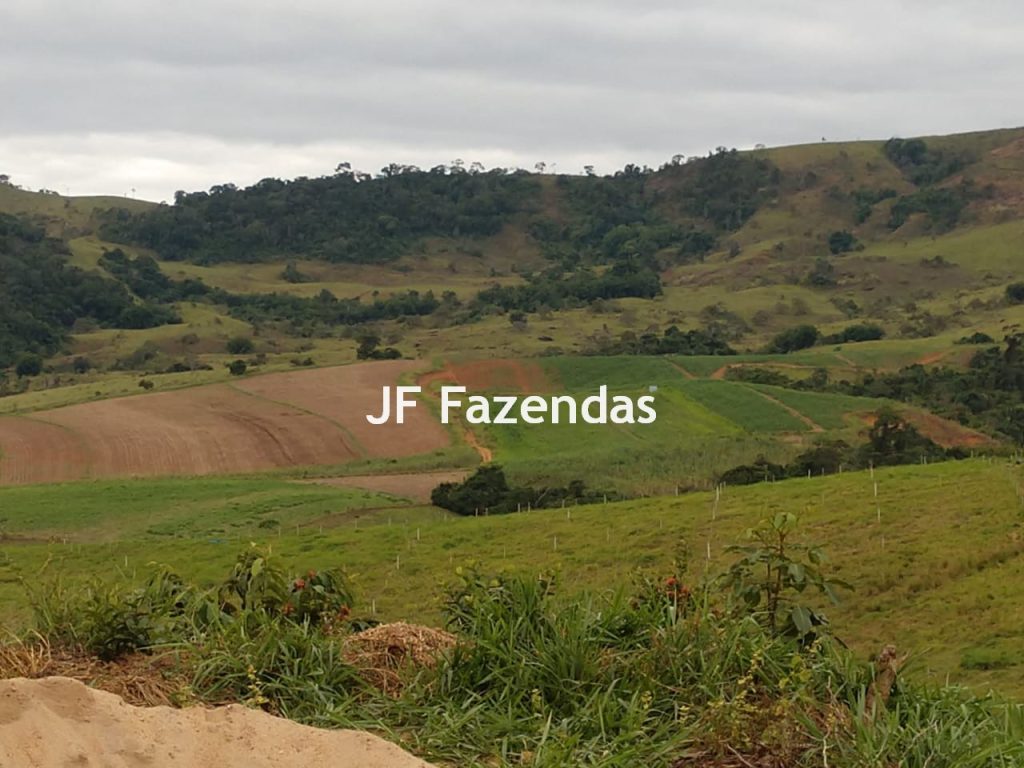 Fazenda em São João Nepomuceno – 266 Hectares