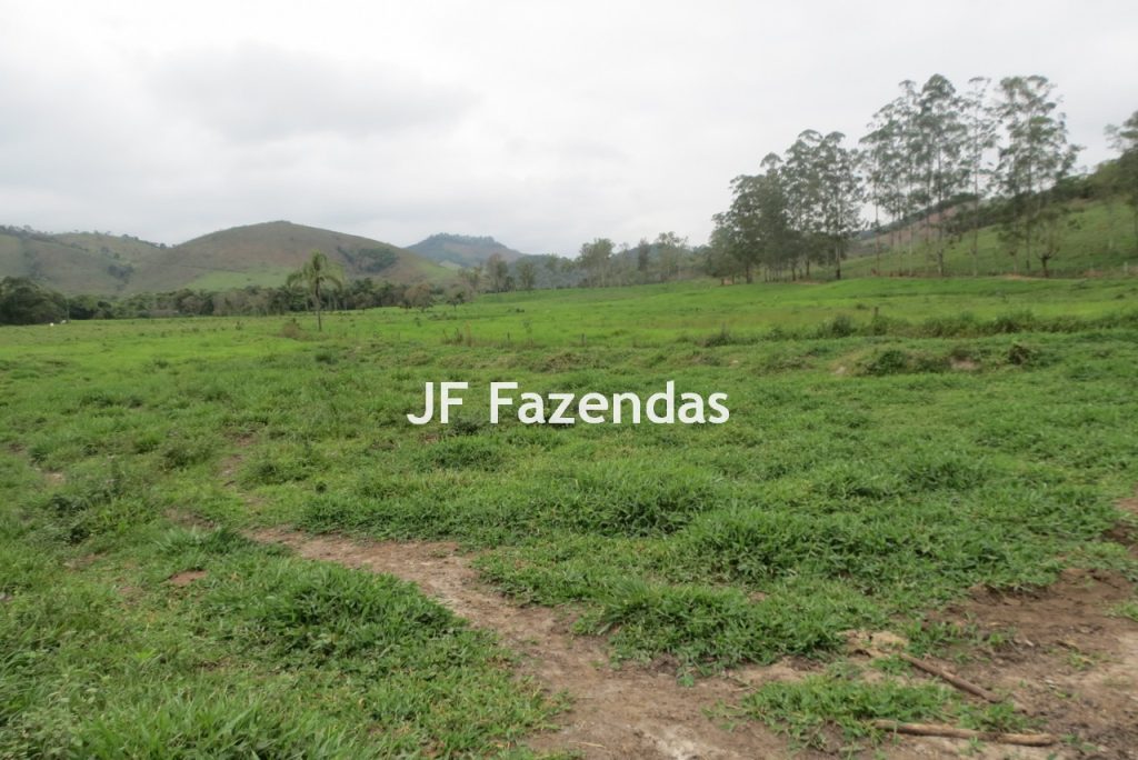 Sitio em Pedro Teixeira – MG – 69,71 hectares