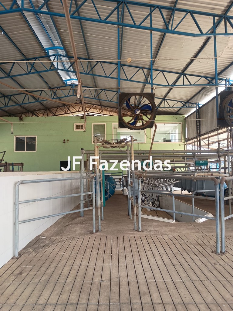 Fazenda em São João Nepomuceno – 266 Hectares