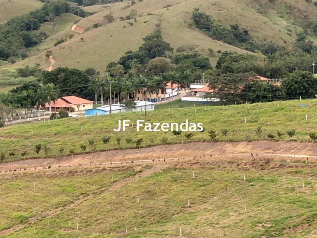 Fazenda em São João Nepomuceno – 266 Hectares