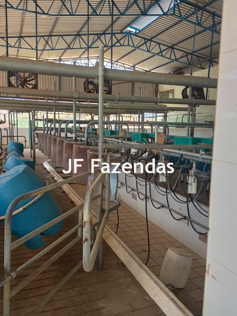 Fazenda em São João Nepomuceno – 266 Hectares