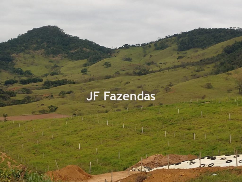 Fazenda em São João Nepomuceno – 266 Hectares