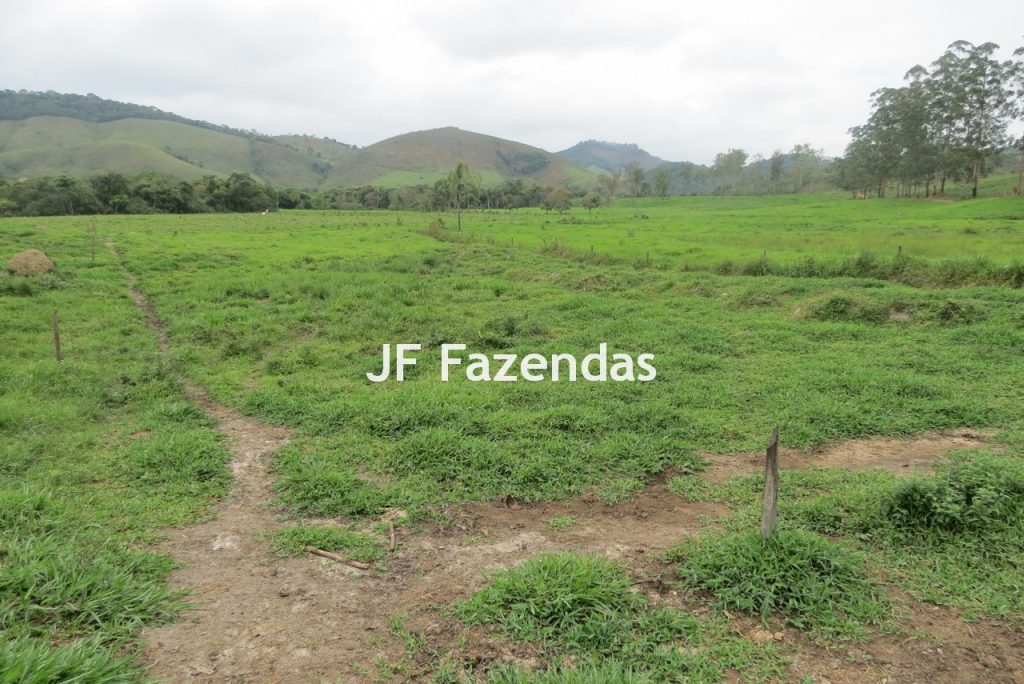 Sitio em Pedro Teixeira – MG – 69,71 hectares