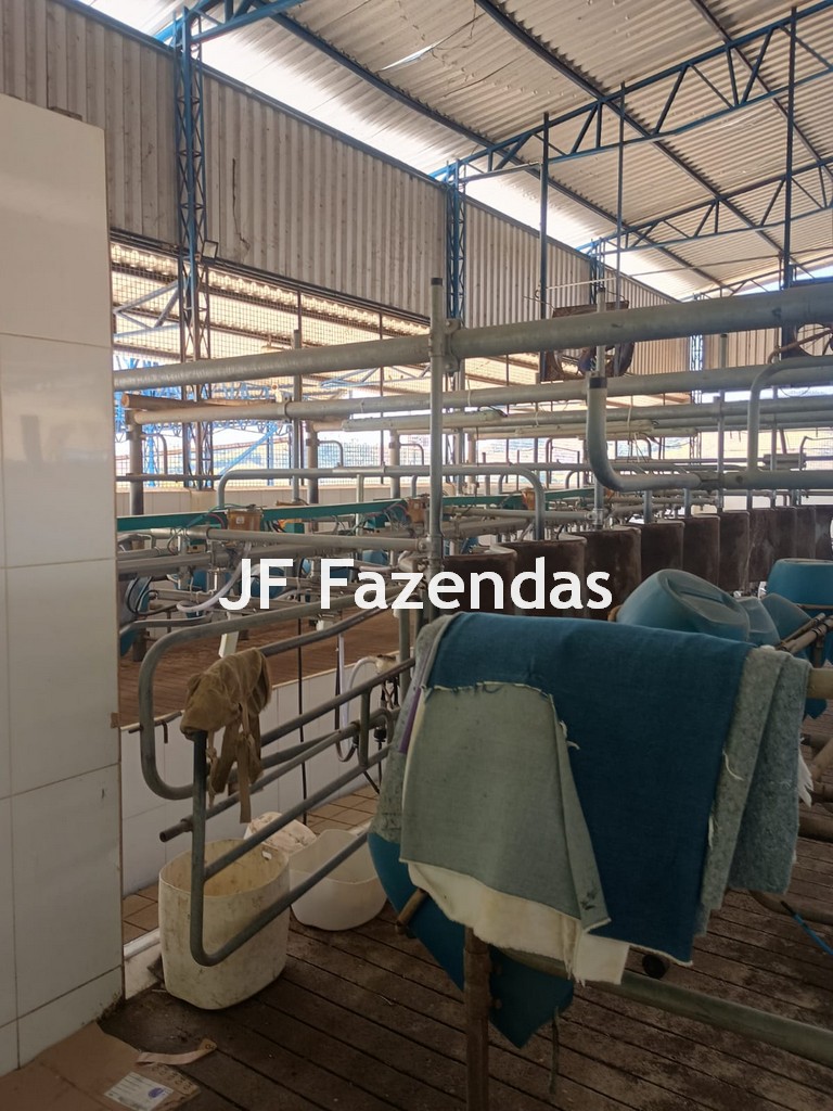 Fazenda em São João Nepomuceno – 266 Hectares