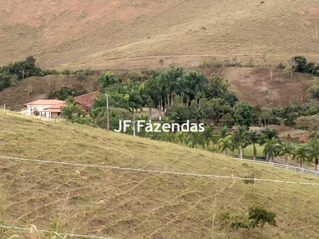 Fazenda em São João Nepomuceno – 266 Hectares