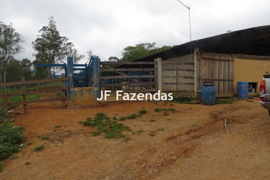 Sitio em Pedro Teixeira – MG – 69,71 hectares