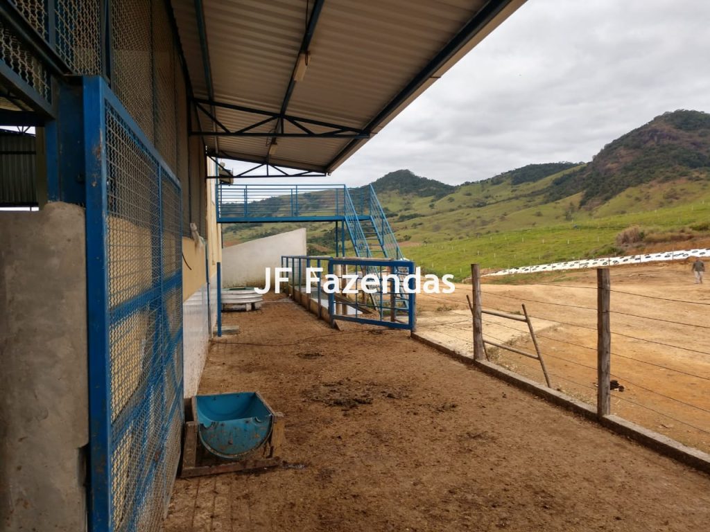 Fazenda em São João Nepomuceno – 266 Hectares