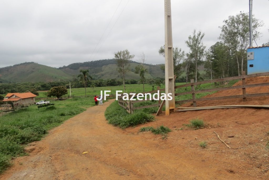 Sitio em Pedro Teixeira – MG – 69,71 hectares