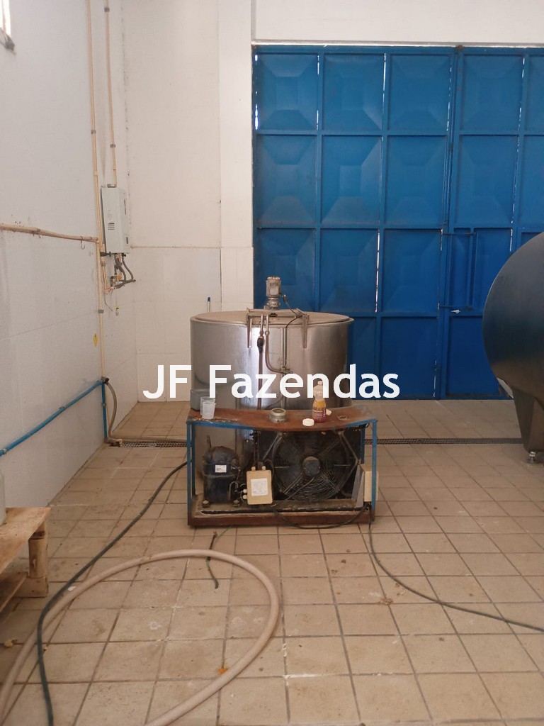 Fazenda em São João Nepomuceno – 266 Hectares