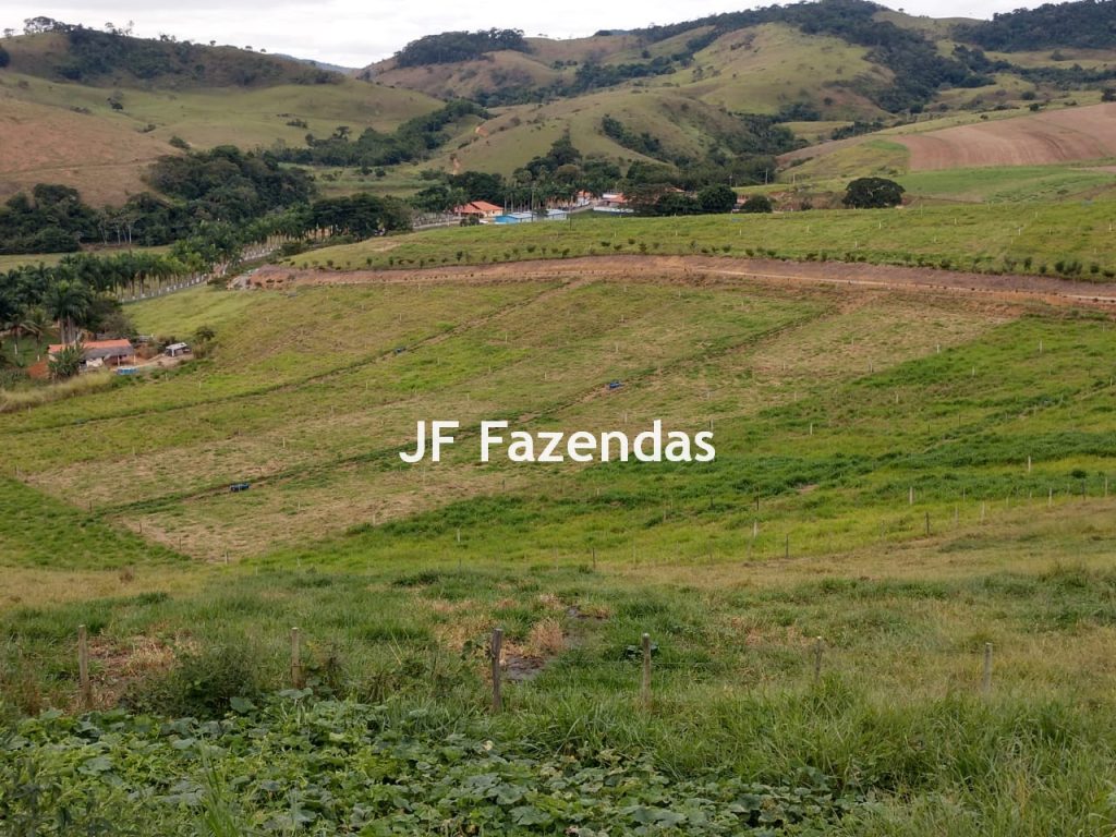 Fazenda em São João Nepomuceno – 266 Hectares