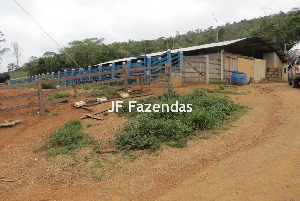 Sitio em Pedro Teixeira – MG – 69,71 hectares