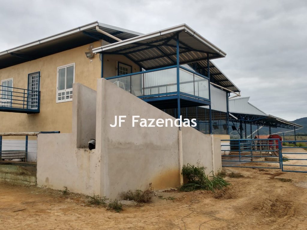 Fazenda em São João Nepomuceno – 266 Hectares