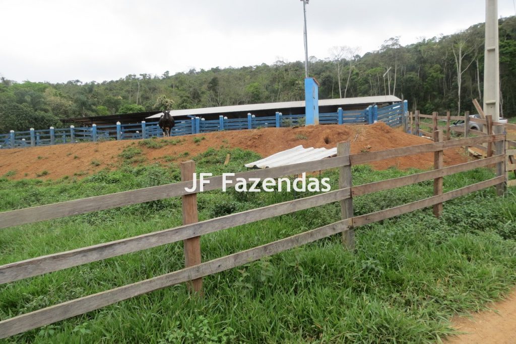 Sitio em Pedro Teixeira – MG – 69,71 hectares