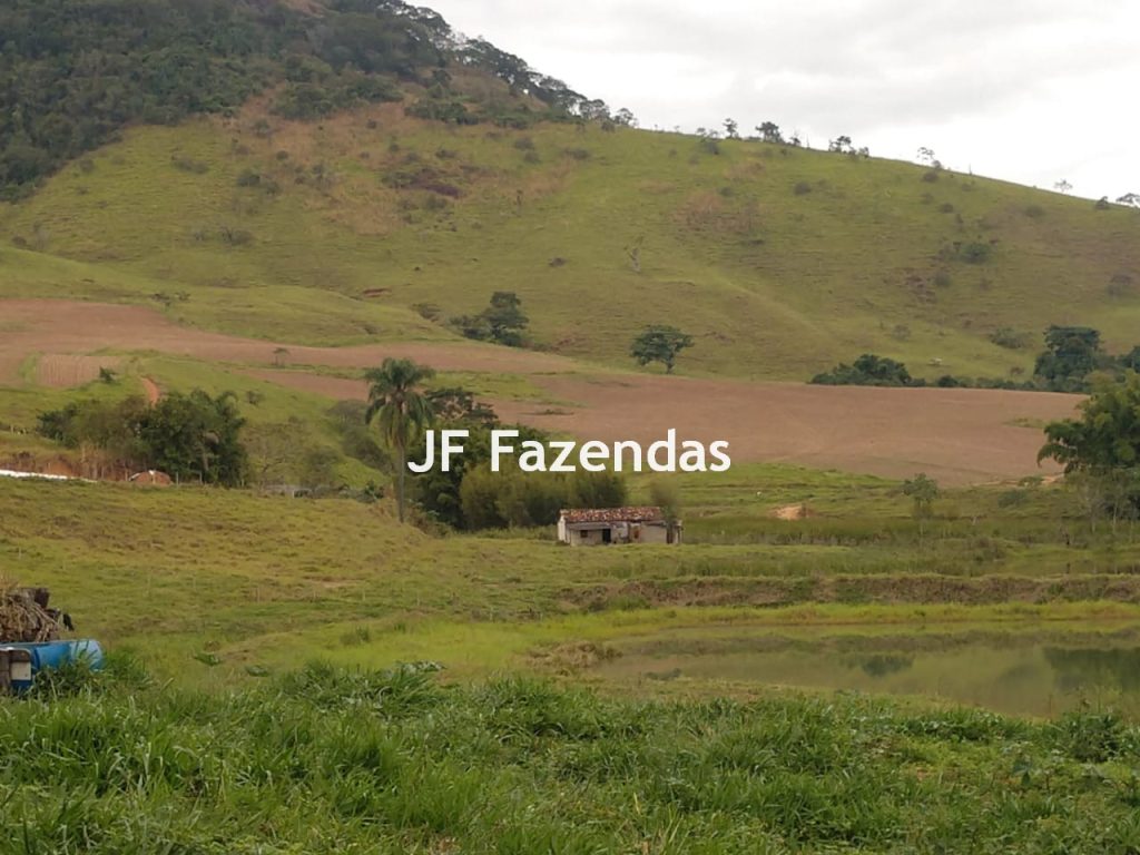 Fazenda em São João Nepomuceno – 266 Hectares