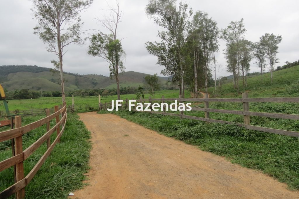 Sitio em Pedro Teixeira – MG – 69,71 hectares