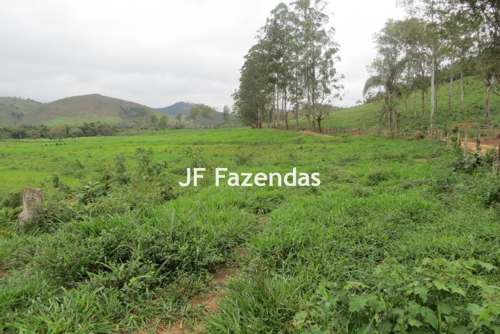Sitio em Pedro Teixeira – MG – 69,71 hectares
