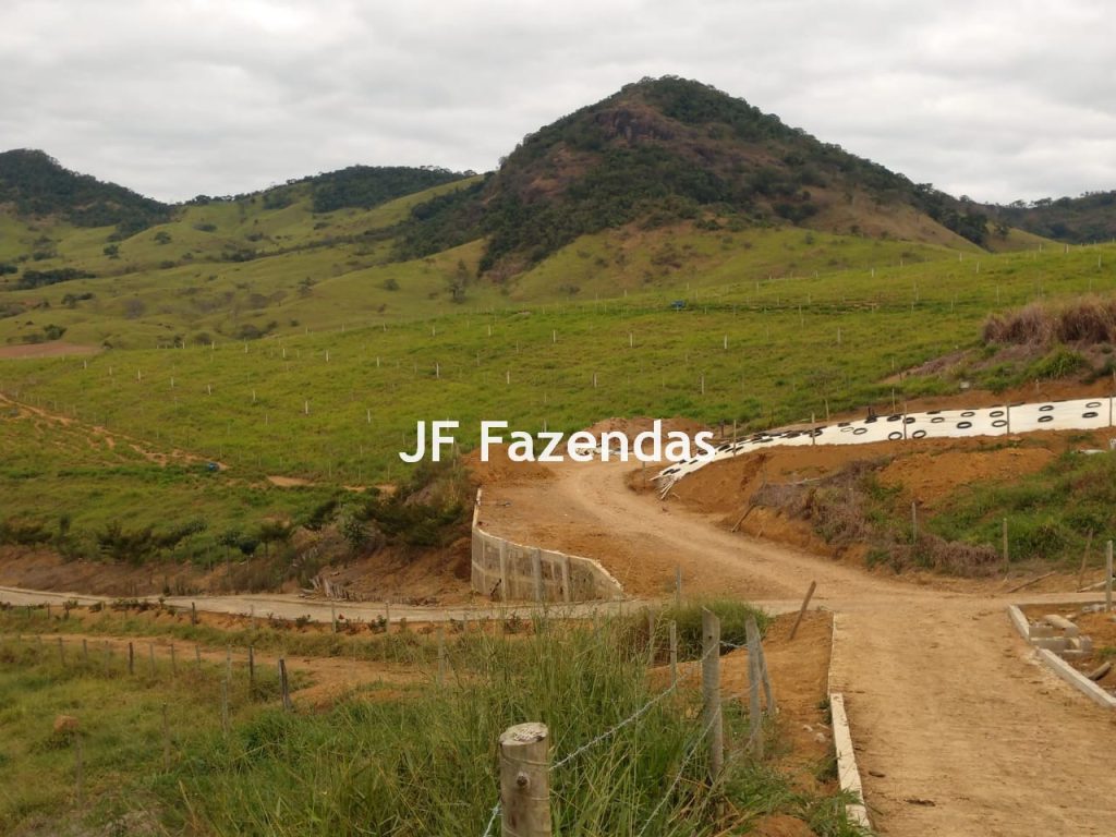 Fazenda em São João Nepomuceno – 266 Hectares