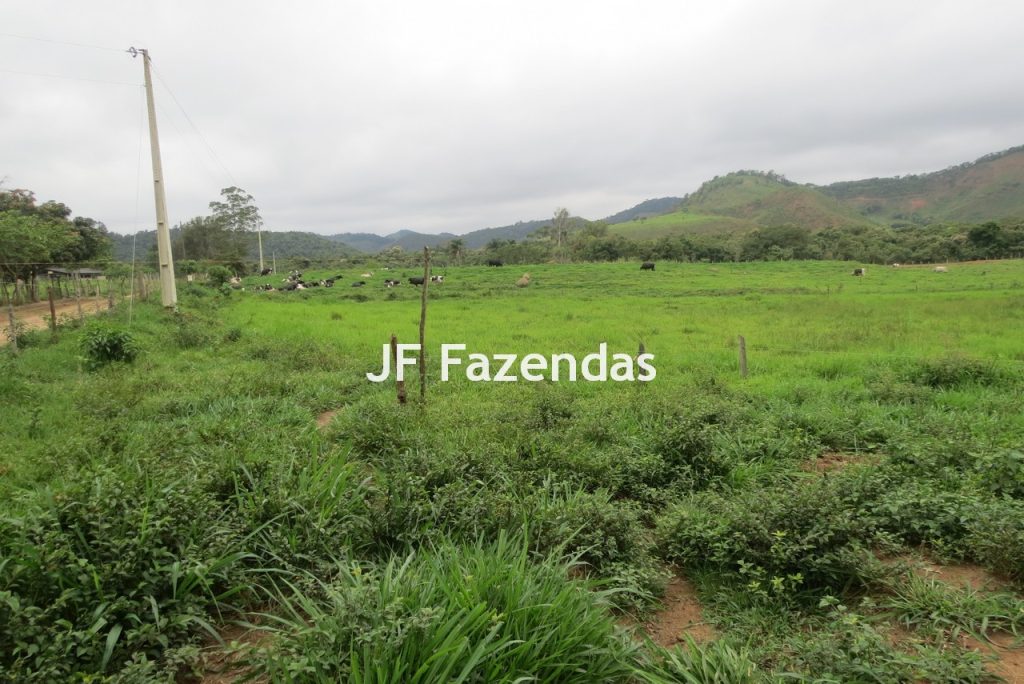 Sitio em Pedro Teixeira – MG – 69,71 hectares