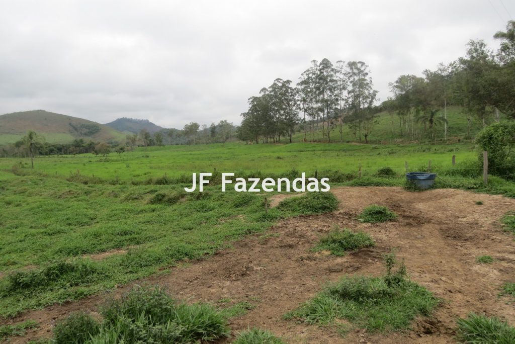 Sitio em Pedro Teixeira – MG – 69,71 hectares