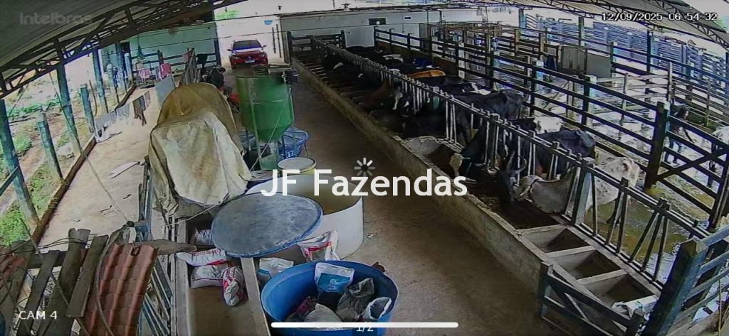 Sitio em Pedro Teixeira – MG – 69,71 hectares