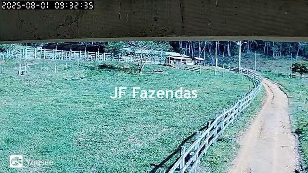 Sitio em Pedro Teixeira – MG – 69,71 hectares