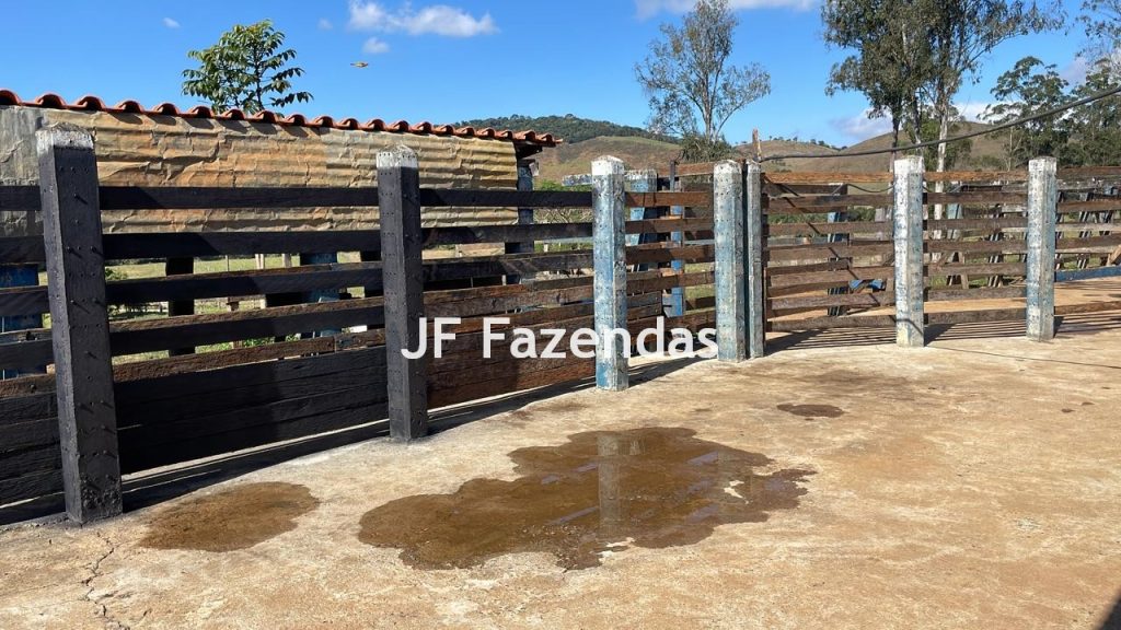 Sitio em Pedro Teixeira – MG – 69,71 hectares