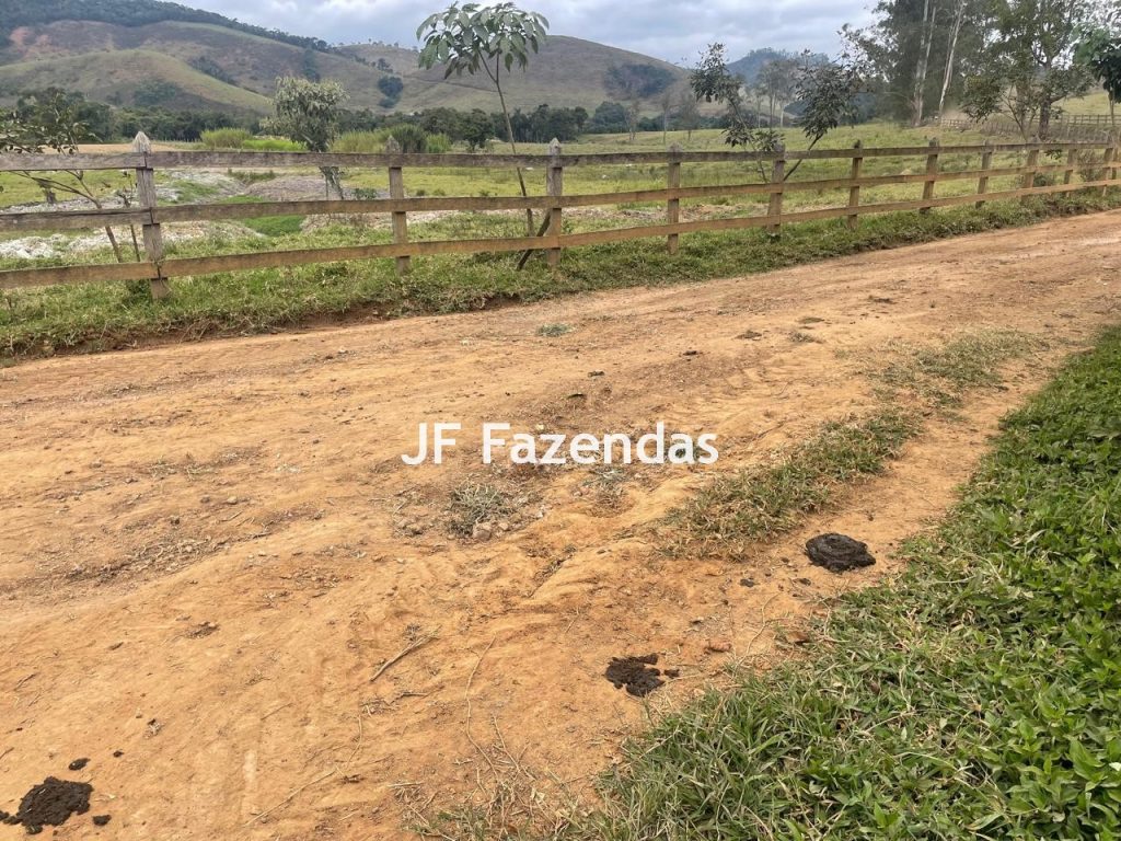 Sitio em Pedro Teixeira – MG – 69,71 hectares