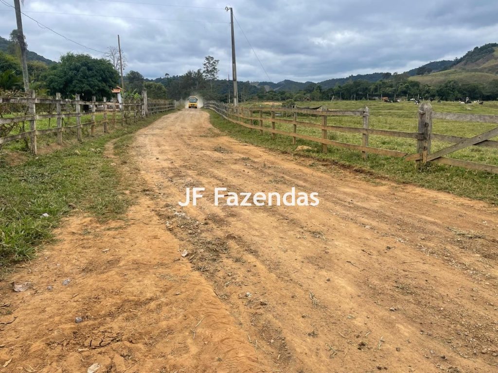 Sitio em Pedro Teixeira – MG – 69,71 hectares