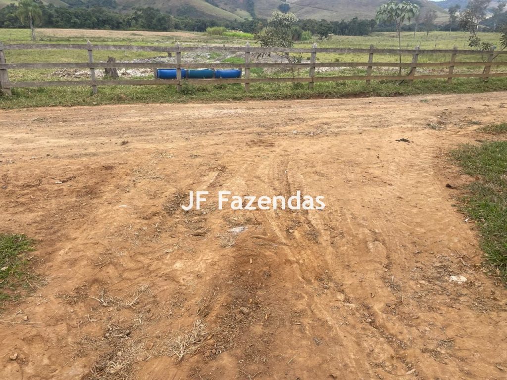 Sitio em Pedro Teixeira – MG – 69,71 hectares