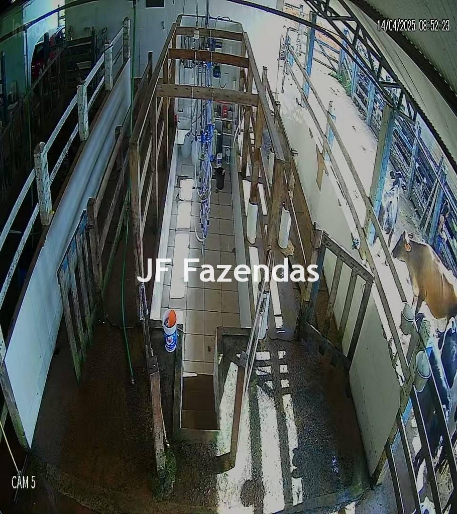 Sitio em Pedro Teixeira – MG – 69,71 hectares