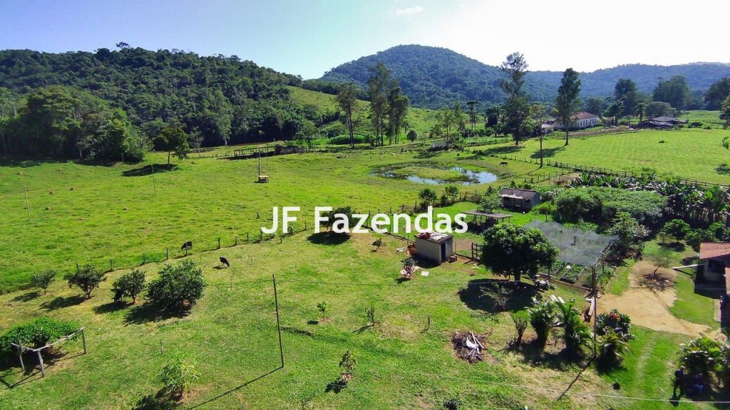 Sitio em Pedro Teixeira – MG – 69,71 hectares