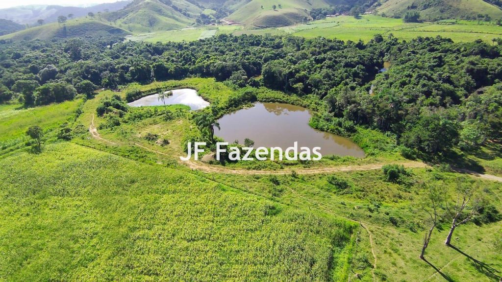 Sitio em Pedro Teixeira – MG – 69,71 hectares