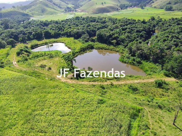 Sitio em Pedro Teixeira – MG – 69,71 hectares