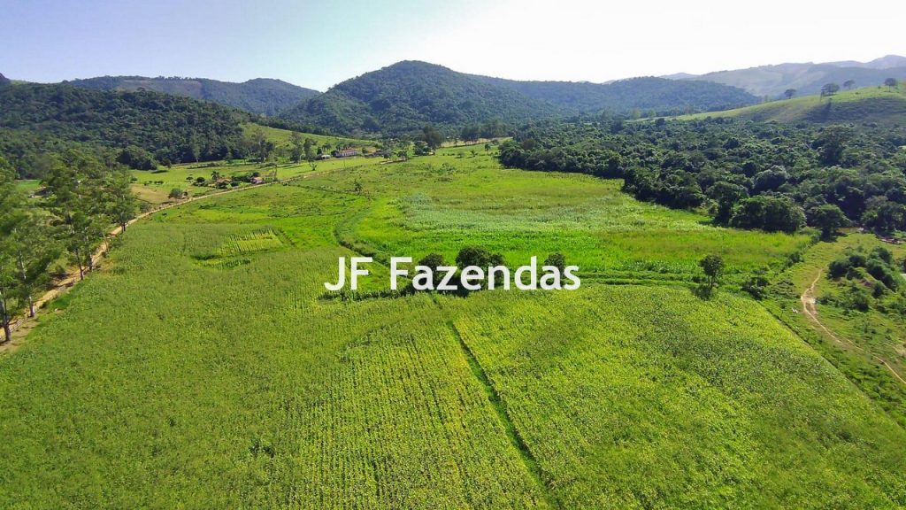 Sitio em Pedro Teixeira – MG – 69,71 hectares