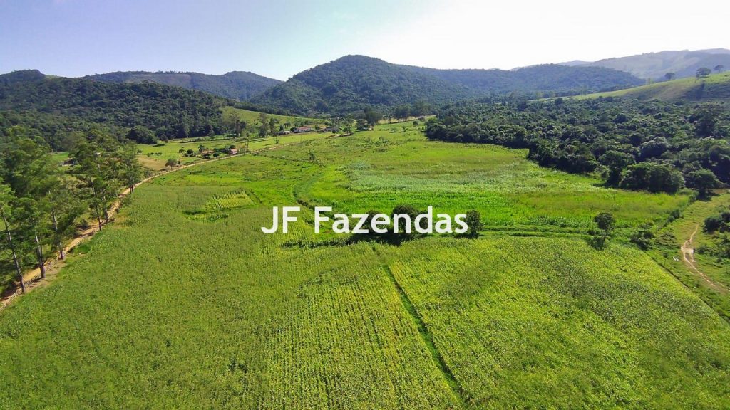 Sitio em Pedro Teixeira – MG – 69,71 hectares