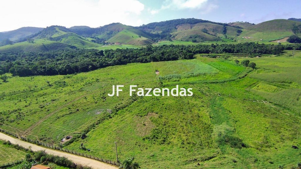 Sitio em Pedro Teixeira – MG – 69,71 hectares