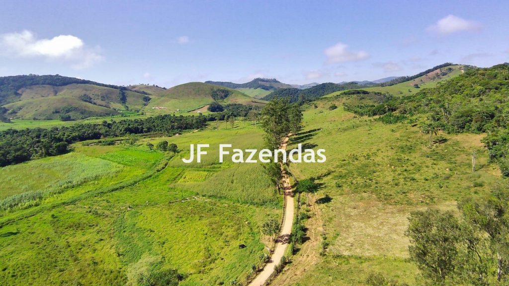 Sitio em Pedro Teixeira – MG – 69,71 hectares