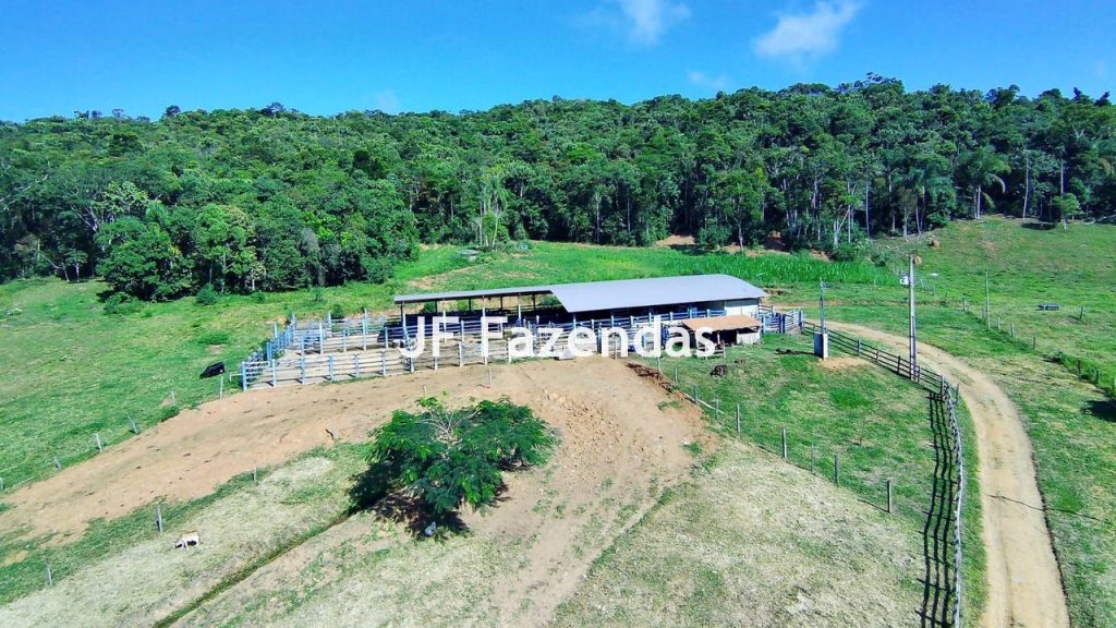 Sitio em Pedro Teixeira – MG – 69,71 hectares